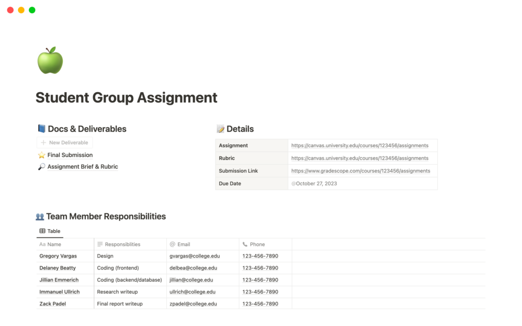 Student Group Assignment template screenshot